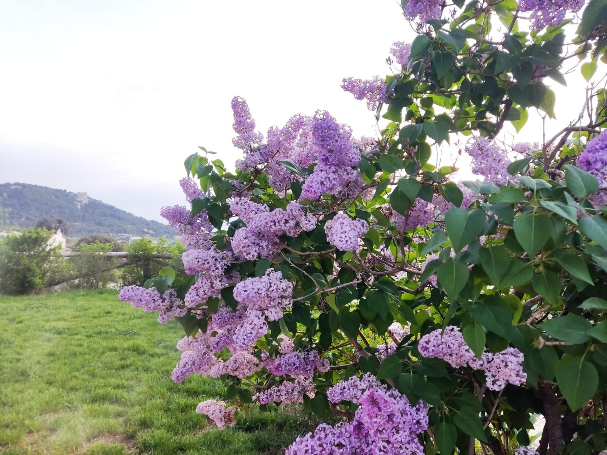 Apartamentos Turisticos Rurales Entresierras Касорла Екстер'єр фото